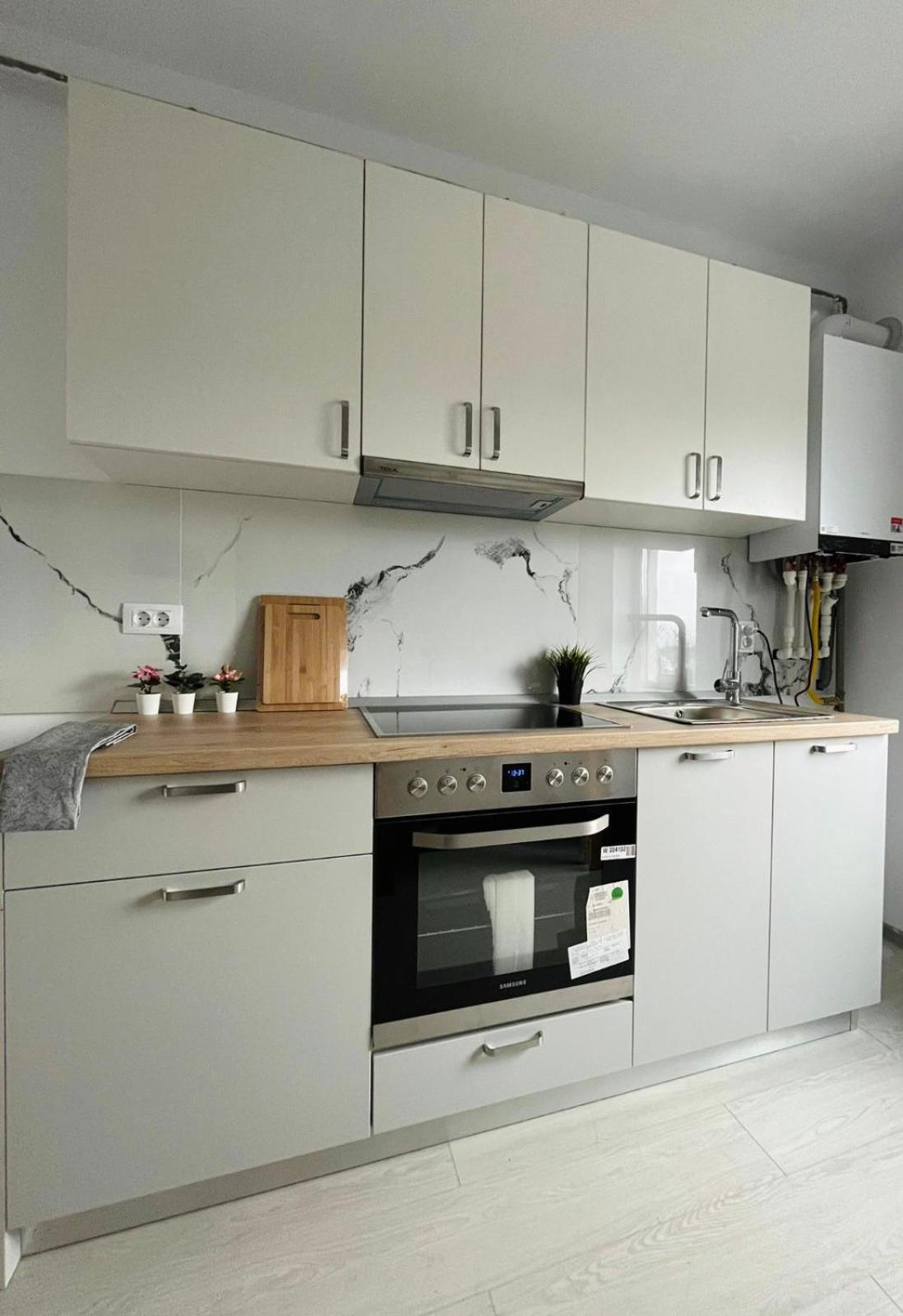Amurresidence Ap3 Barbeque Airport&Parking Iasi Eksteriør billede